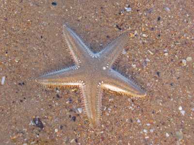 Port Hedland, Campingplatz am Meer