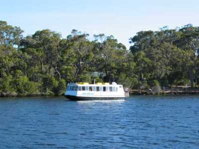 Augusta, Bootsfahrt auf dem Blackwood River