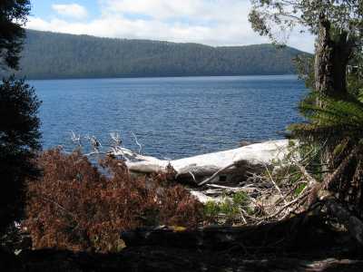 Tasmanien, Lake St. Clair N.P. 