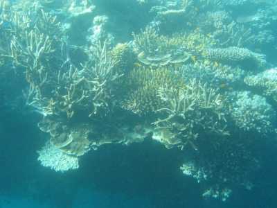 Great Barrier Reef, "Reefworld"