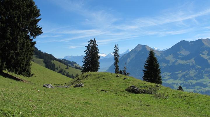 Oberstocke Alp