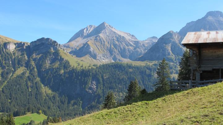 Lauenen-Alp