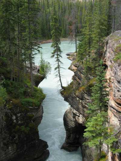 Jasper NP Athabasca Falls