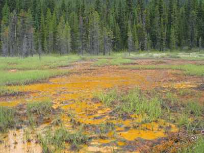 Kootenay NP, Paint Pots (Orchre Beds)