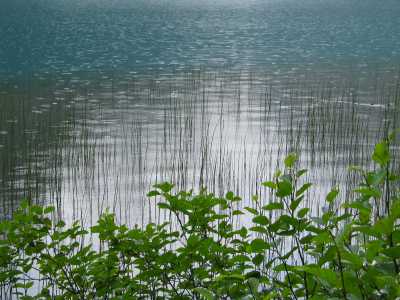Yoho N.P. Emerald Lake im Regen