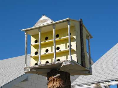 Arizona, Vogelmehrfamilienhaus in Ajo