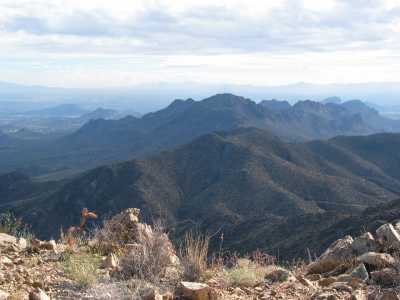 Tucson Mountain Park, Wanderung auf den Wasson Peak