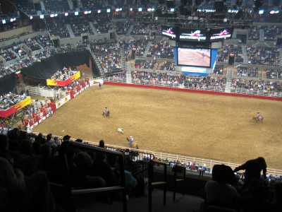 San Antonio, Let's Rodeo, Rinder einfangen 