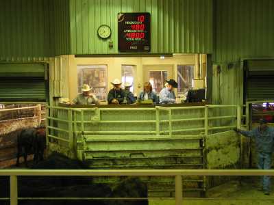 Amarillo Livestock Auction, Halle
