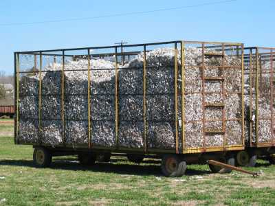 Texas Plains Trail, Baumwolle bereit zum Transport