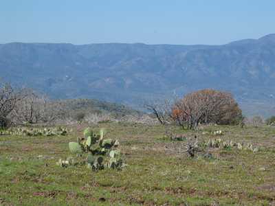 Tonto N.Forest, Blick auf Camp Verde